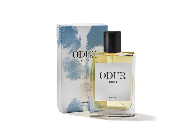 Odur Parfum – Pinus – Parfum 75 ml 